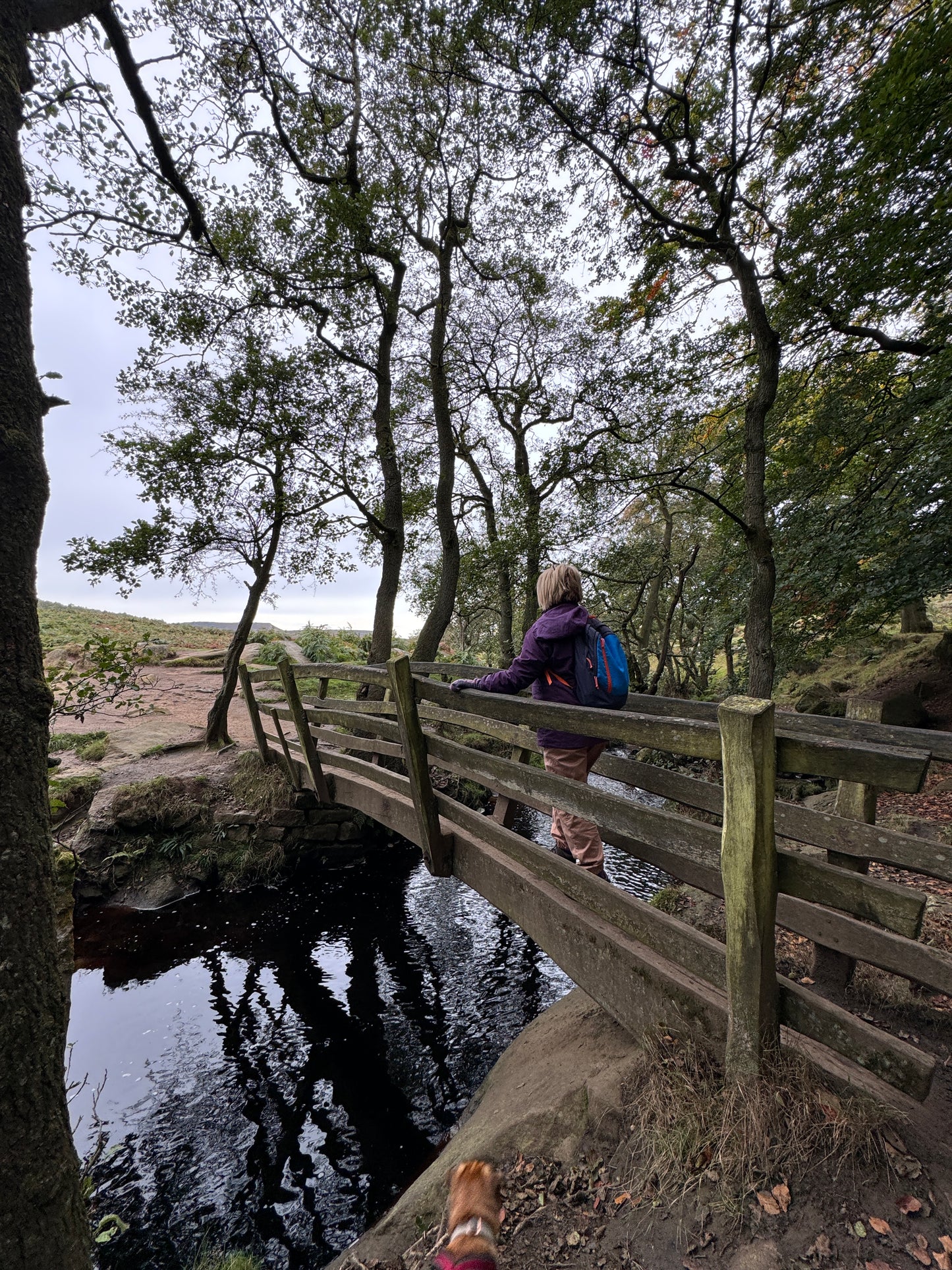 Padley Gorge 5 mile Circular with Cafe stop. Sunday 18th May