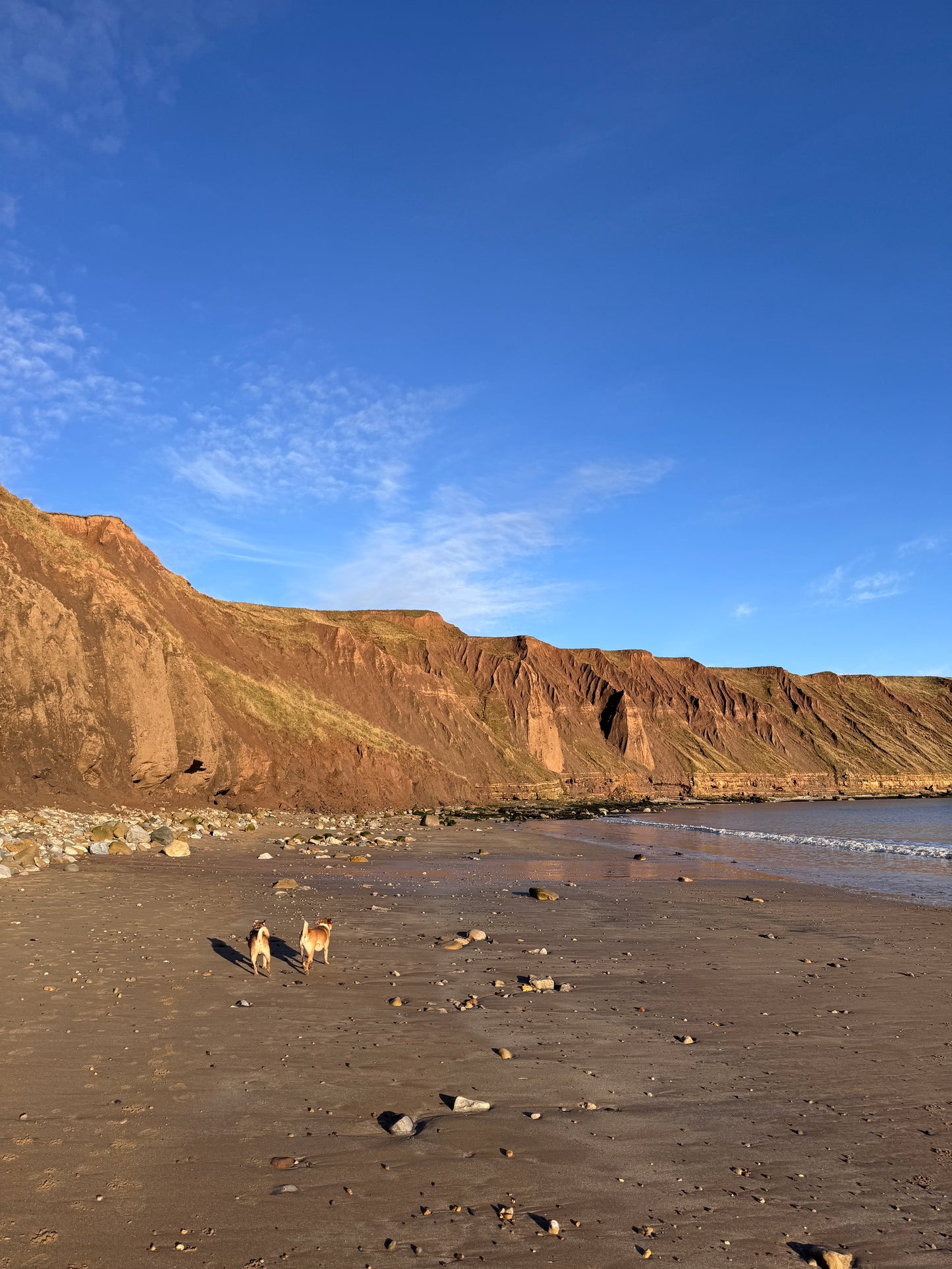 Filey beach to Filey Brigg with a stop at Flamborough Cliffs to say “hey” to the Drinking Dinosaur rock formation 🦖 Sunday 4th May