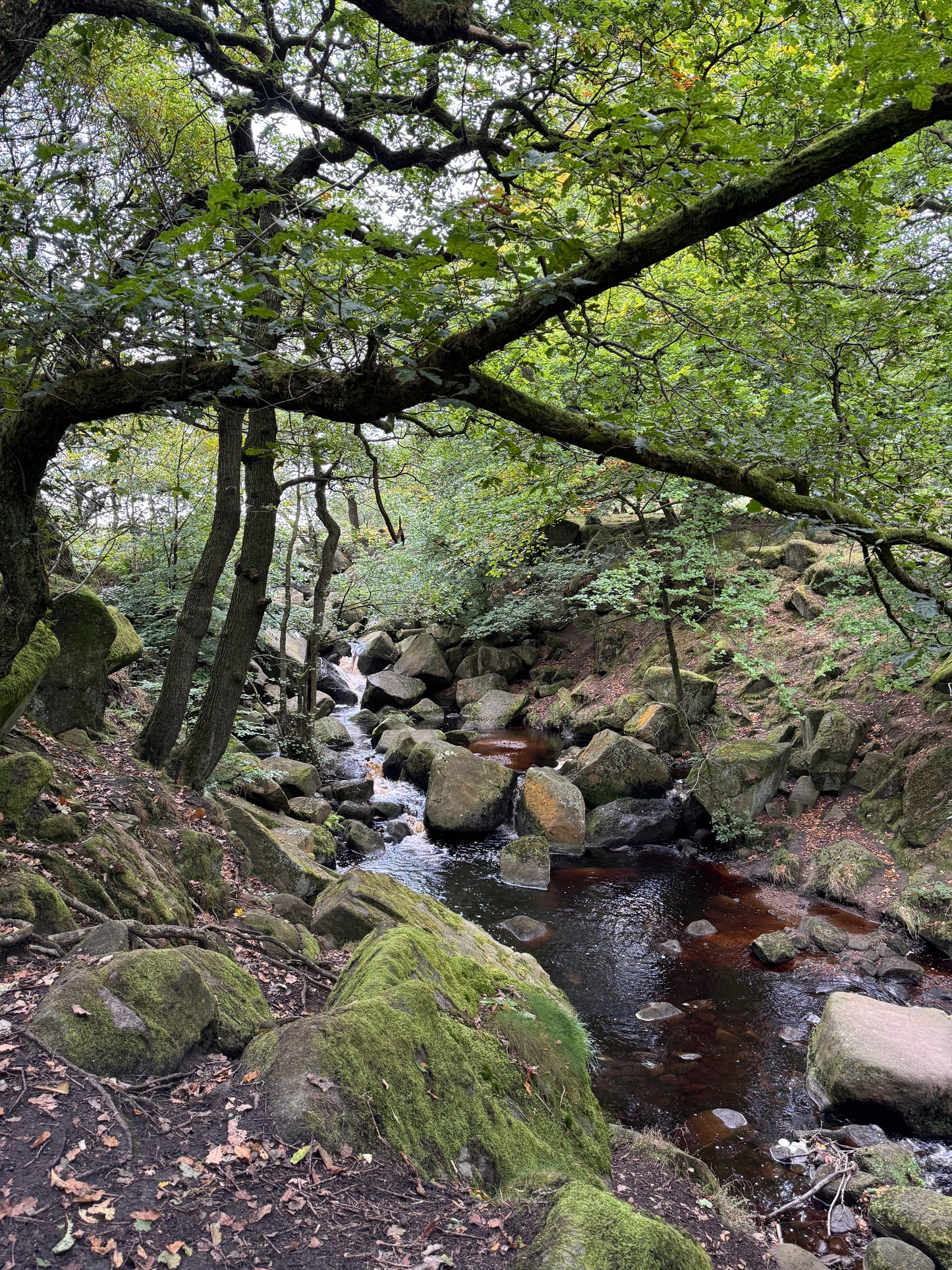 Padley Gorge 5 mile Circular with Cafe stop. Sunday 18th May