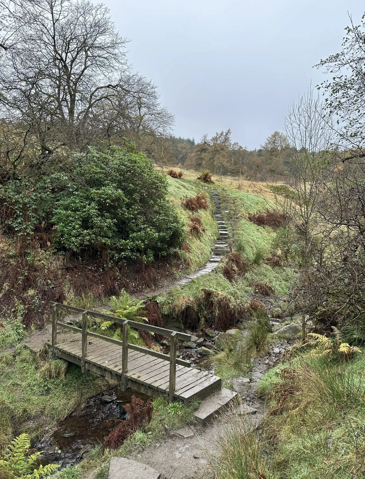 Shining Tor & Goyt Valley Circular 11k Easy/Mod walk - Sunday 30th March