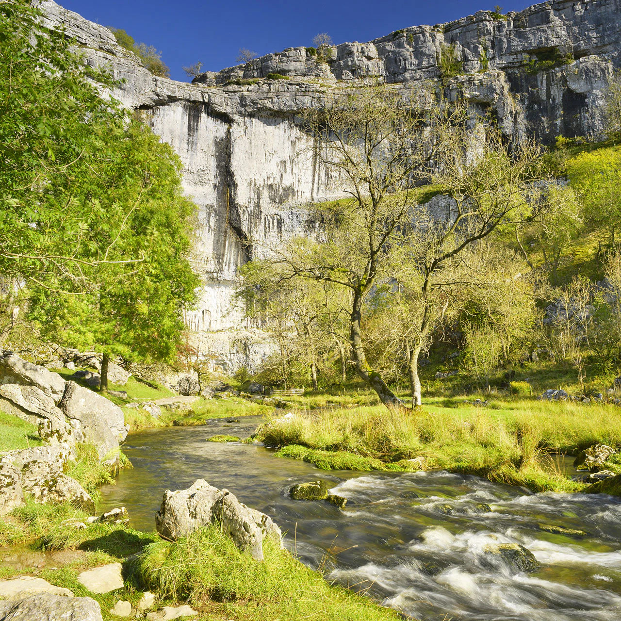 Yorkshire Dales Best Bits - 1 night stop over. Sunday 27th - Monday 28th July.